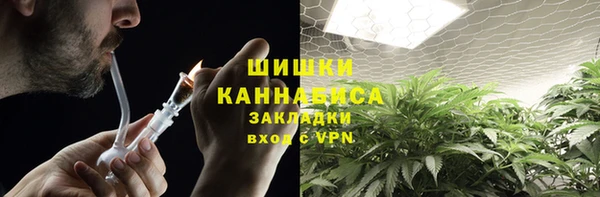 не бодяженный Гусев