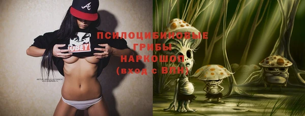 не бодяженный Гусев