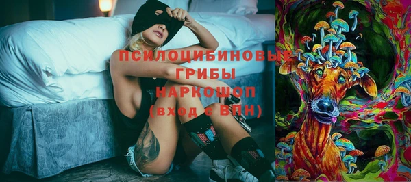 не бодяженный Гусев