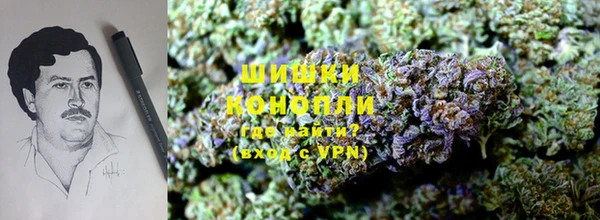 винт Гусиноозёрск