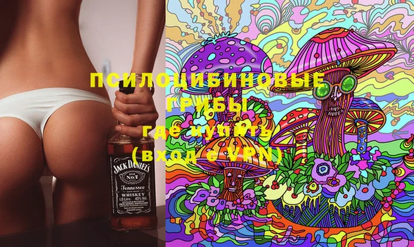 Альфа ПВП Ахтубинск