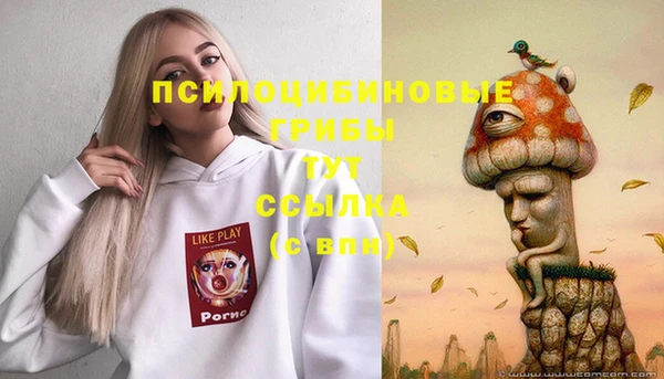 винт Гусиноозёрск