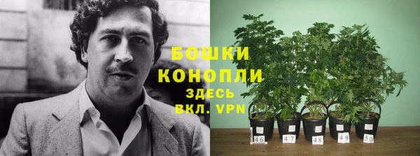 винт Гусиноозёрск