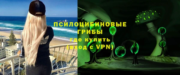 не бодяженный Гусев