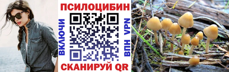 Галлюциногенные грибы Psilocybe  блэк спрут ТОР  Избербаш 