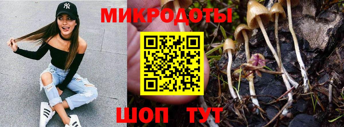 Избербаш  Псилоцибиновые грибы Psilocybine cubensis  Вход с VPN 