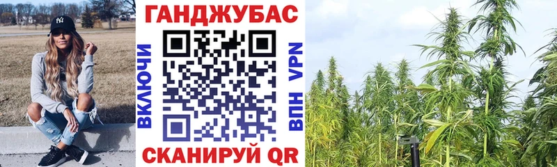Бошки марихуана сатива  купить закладку  Избербаш 